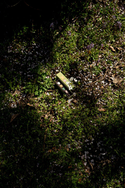 Odujej Mini Crayon (Spring Edition)
