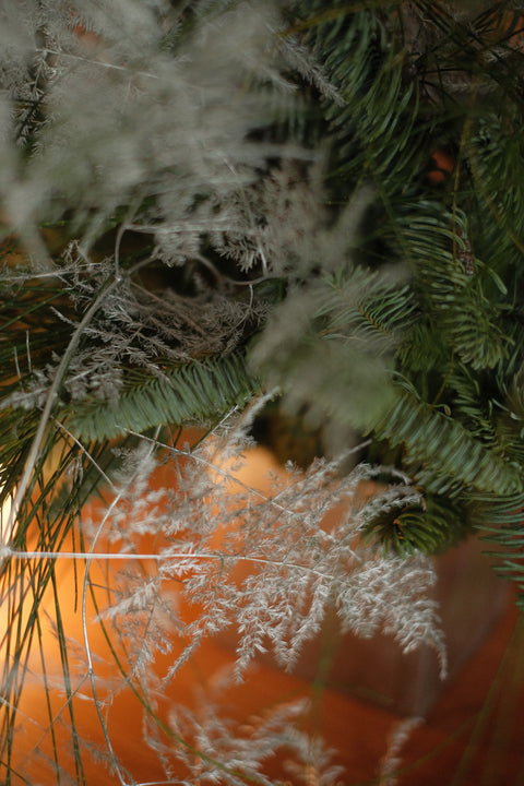 Christmas Arrangements | Studio Wilt