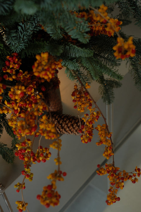 Christmas Arrangements | Studio Wilt